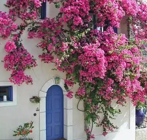 即墨庭院花園設(shè)計(jì)