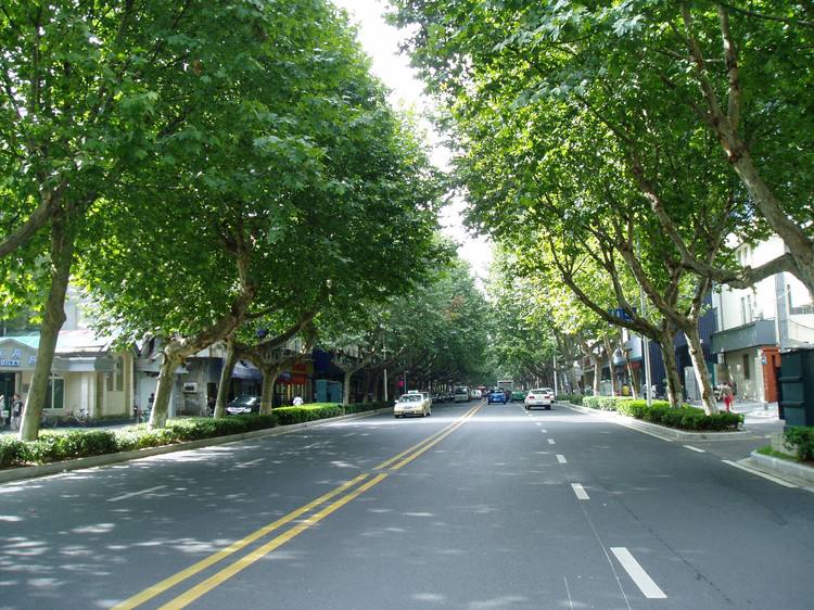 青島庭院設計,青島別墅景觀設計