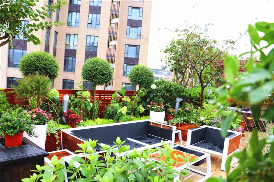 屋頂花園設計,露臺花園設計