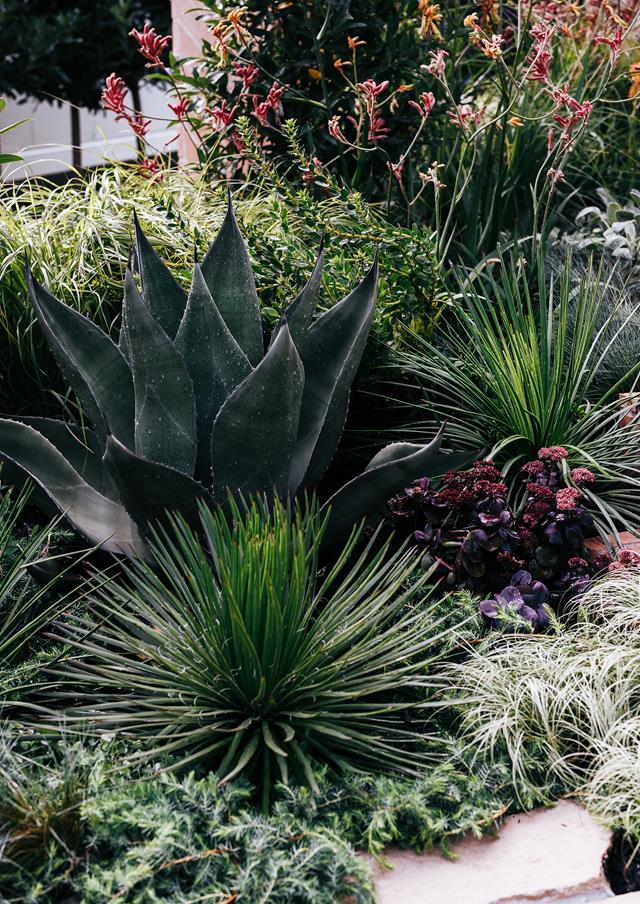 別墅庭院景觀之植物景觀設計