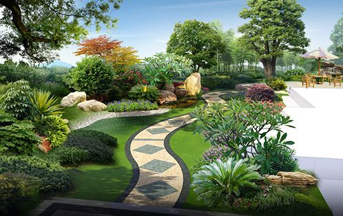 花境植物配置，給你意想不到的驚喜！