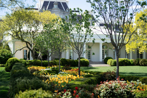 由于不太懂庭院景觀設(shè)計(jì)，特朗普總統(tǒng)一家被罵上熱搜榜