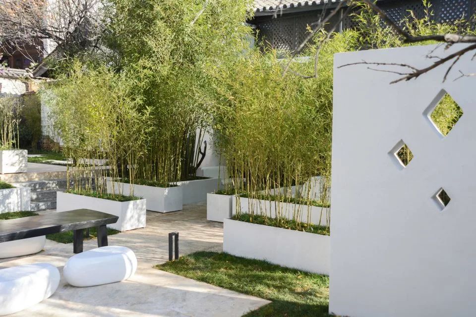 竹，庭院景觀設(shè)計中的必備