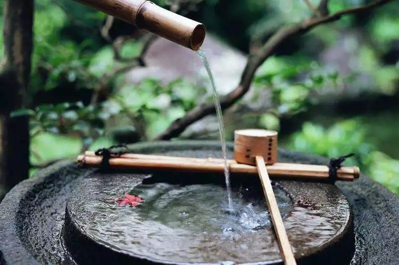 庭院驚鹿，讓水流與禪心共存