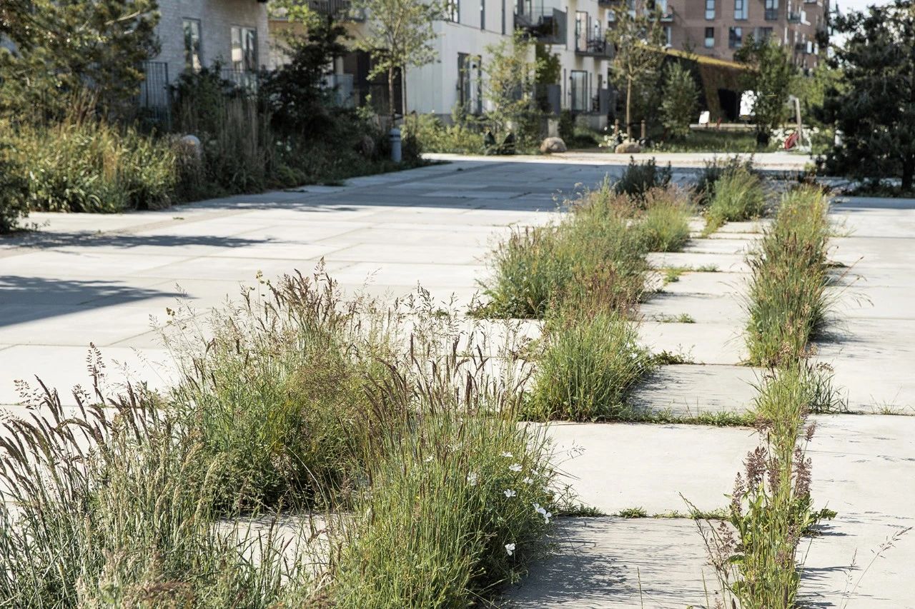 中式院落布局的藝術(shù)，疏密曲直，起承轉(zhuǎn)合！