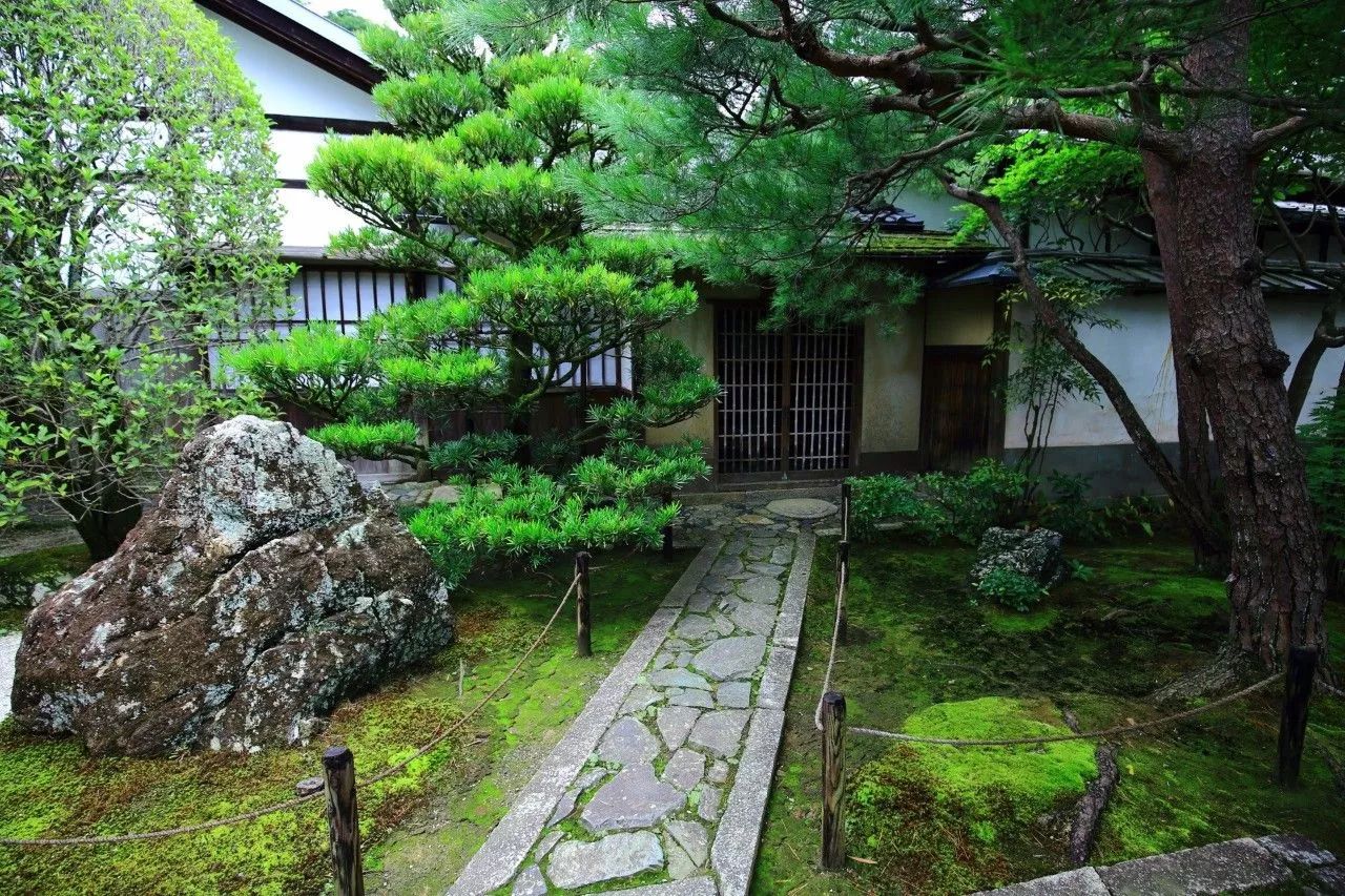 庭院里的青苔，見證悠悠時(shí)光，品味自然樸質(zhì)