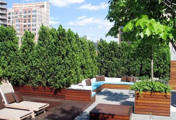 庭院中，這些植物搭配小技巧，你都掌握了嗎！