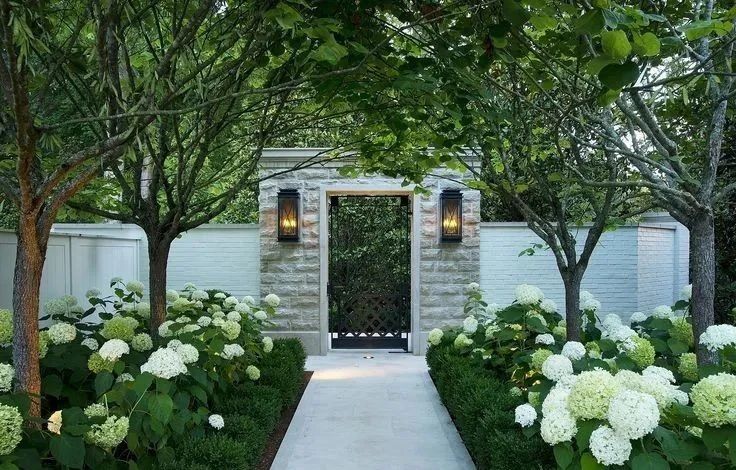 穩(wěn)定與均衡 | 花園植物造景，這兩點一定要注意!