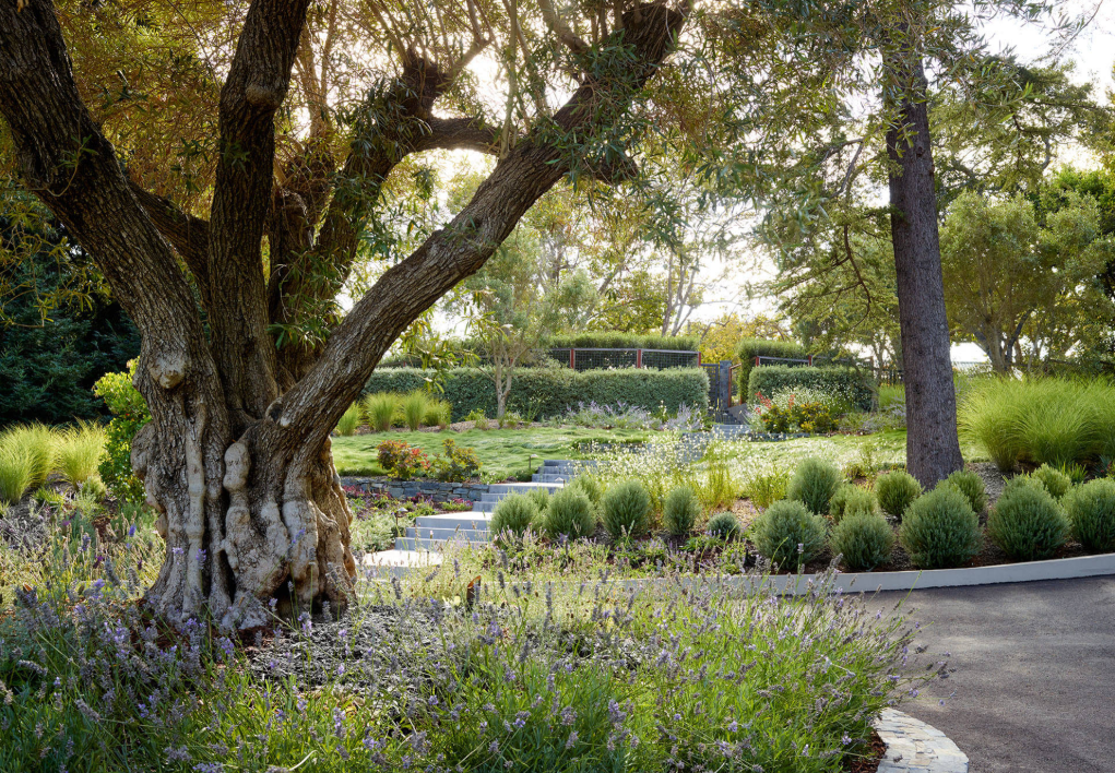 在花園中回歸自然，這四類(lèi)熱門(mén)風(fēng)格哪個(gè)是你的心頭好？