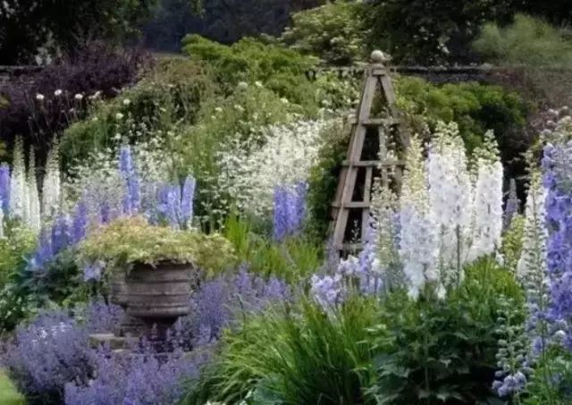 這樣打造花園，植物質(zhì)感大提升，這才是庭院該有的樣子！