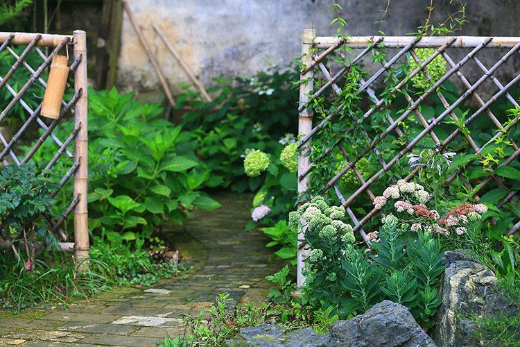 有個菜園，春種秋收，真好