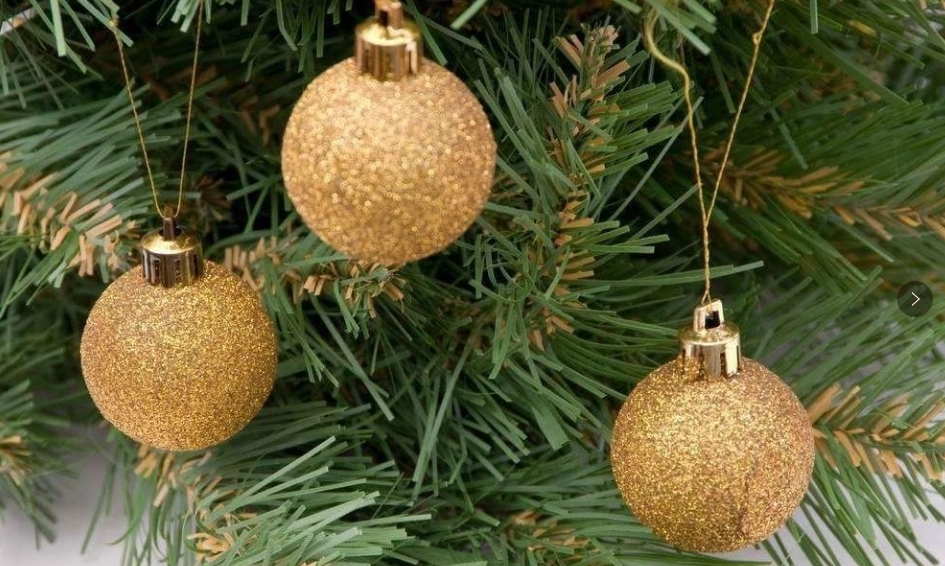 庭院中，這些植物搭配小技巧，你都掌握了嗎！