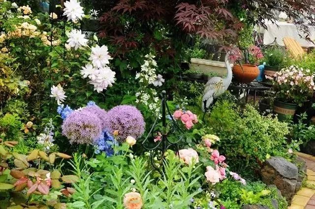 身居一方庭院，享受一方浪漫，花園愿與你相伴到老