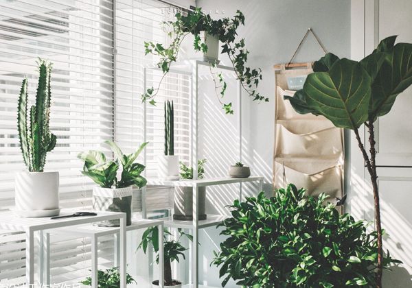 把陽(yáng)臺(tái)改造成小花園，這7種風(fēng)格，你最喜歡哪一種？