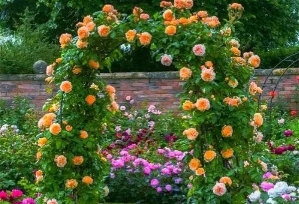 小院子+拱門，瞬間讓你的花園美成仙境