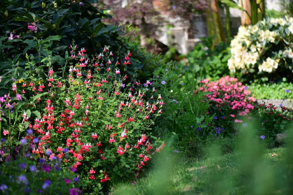 花園之美，美在哪些方面？日照花園設(shè)計(jì)