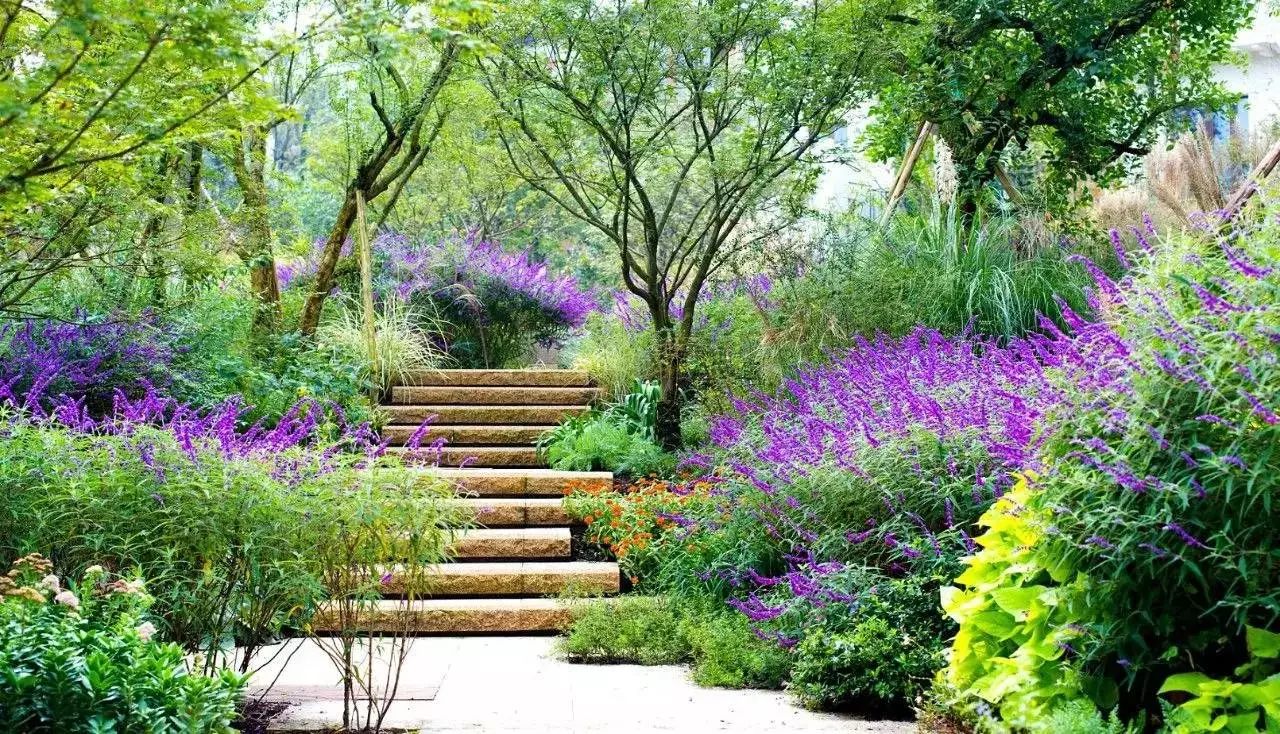 植物配置六大秘訣，助你的花園變成花海