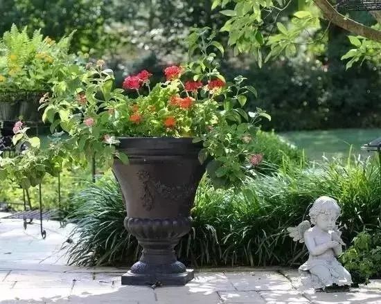 玫瑰花園的設計理念