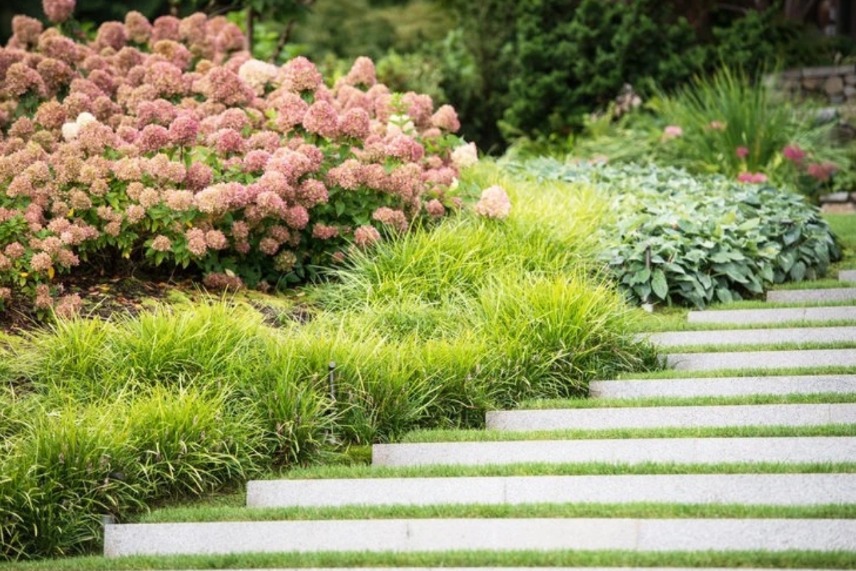 花園很蕭瑟？那一定是少了它！庭院觀賞草，為冬天增添色彩的不二之選！