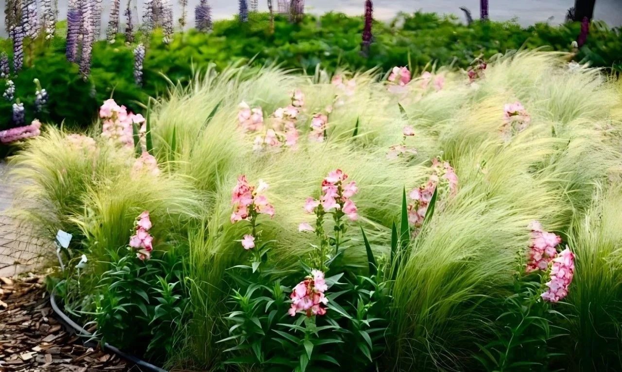 共建親子花園，讓孩子接觸身邊的大自然，度過快樂的戶外時光