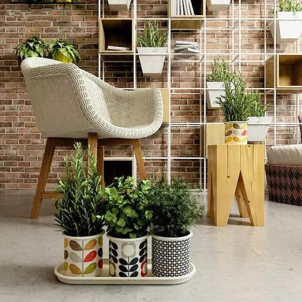 如此精致的室內(nèi)花園，你也能擁有！