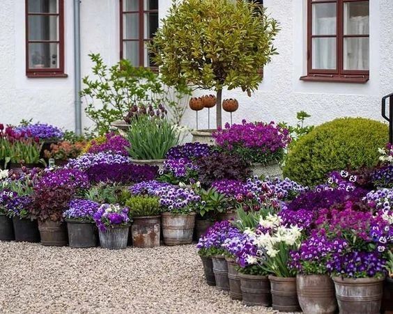 容器花園創(chuàng)意：在小空間種植植物，看看有合適你的嗎？