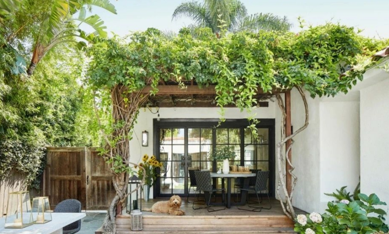 如何創(chuàng)建一個(gè)神奇的月光花園