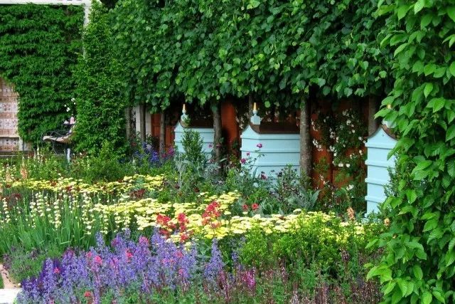 英式花園營(yíng)造要點(diǎn)，助力你的自然風(fēng)花園夢(mèng)