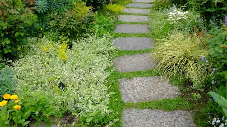 你的院子，怎能少了精致的花園小徑