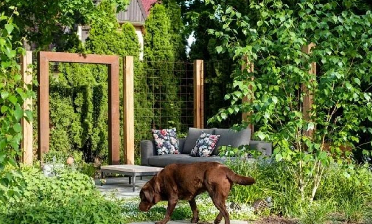 寵物友好型花園設(shè)計：讓毛孩子安全撒歡的細(xì)節(jié)