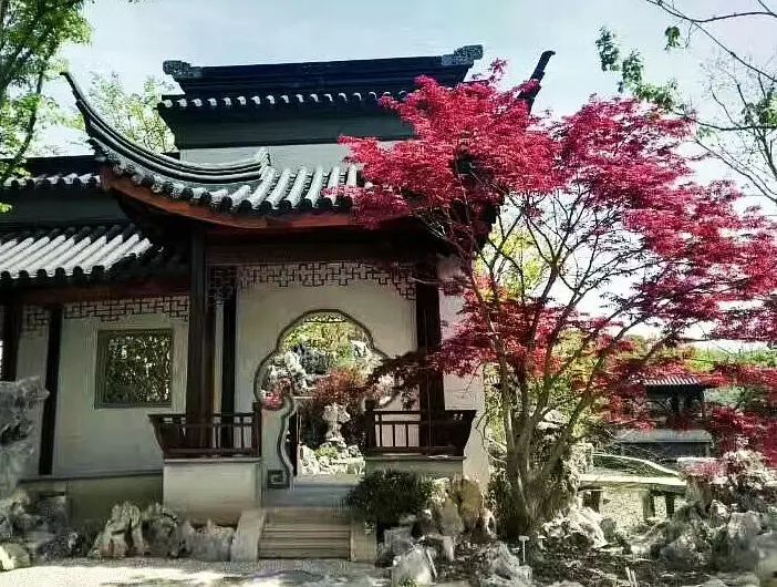 疏密曲直，起承轉(zhuǎn)合，中式院落布局的藝術(shù)