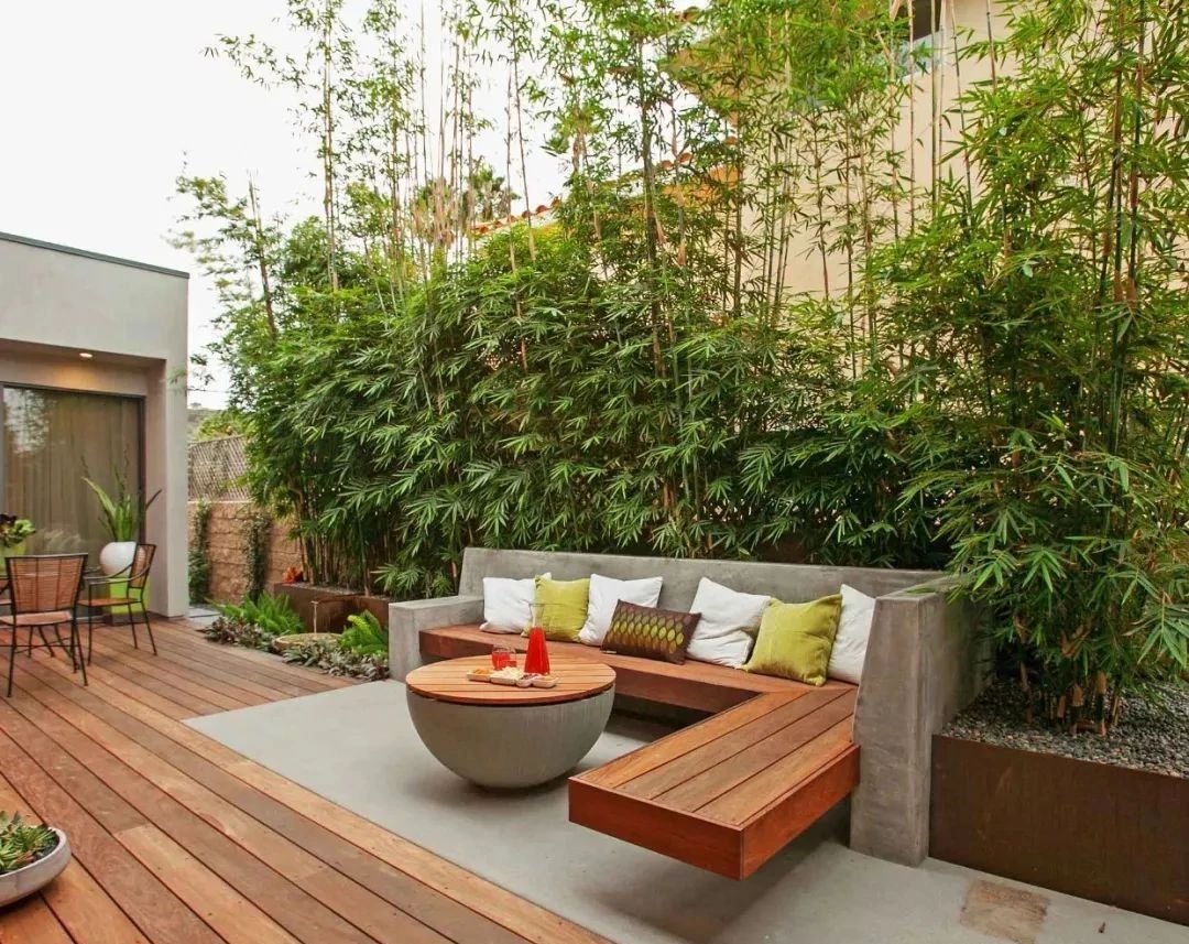 現(xiàn)代庭院也能有茂林修竹，種下一片清幽秀麗
