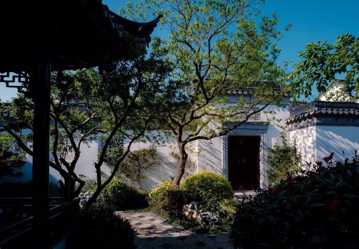 走進園林，方才知春色幾許！