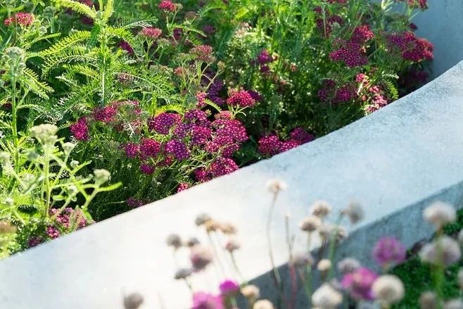 花境營造，只要用對了方法，其實沒那么難