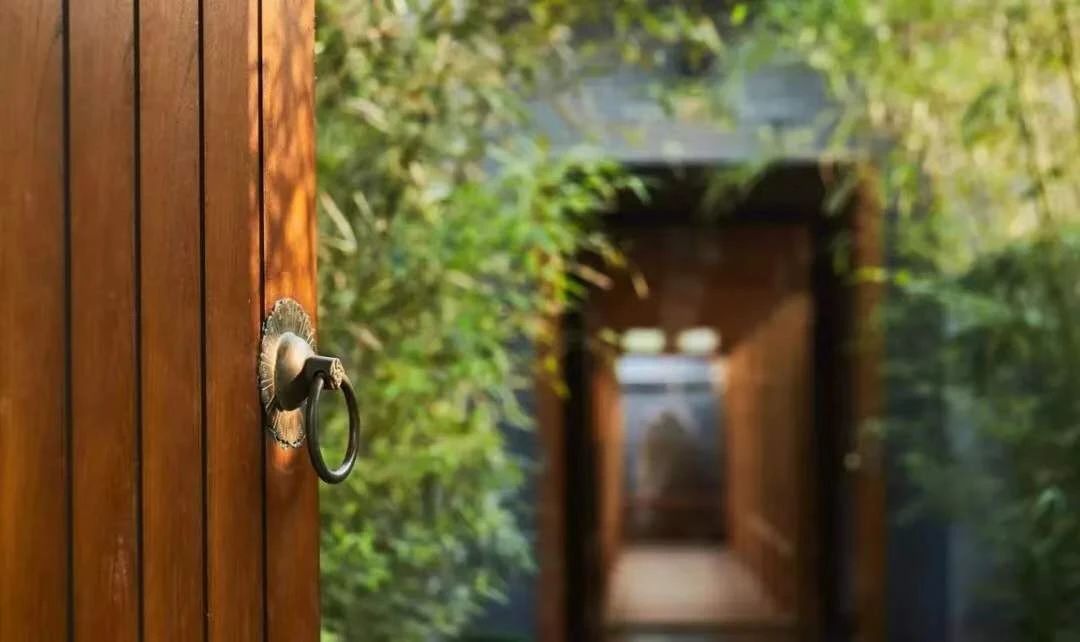 現(xiàn)代庭院也能有茂林修竹，種下一片清幽秀麗