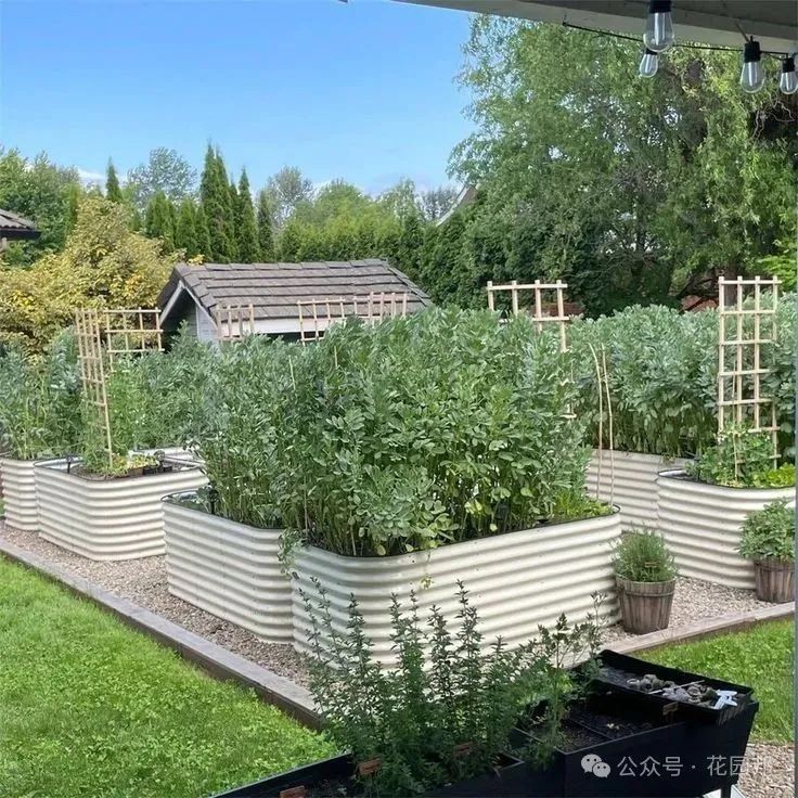 建造花園應(yīng)該關(guān)注哪些問題？