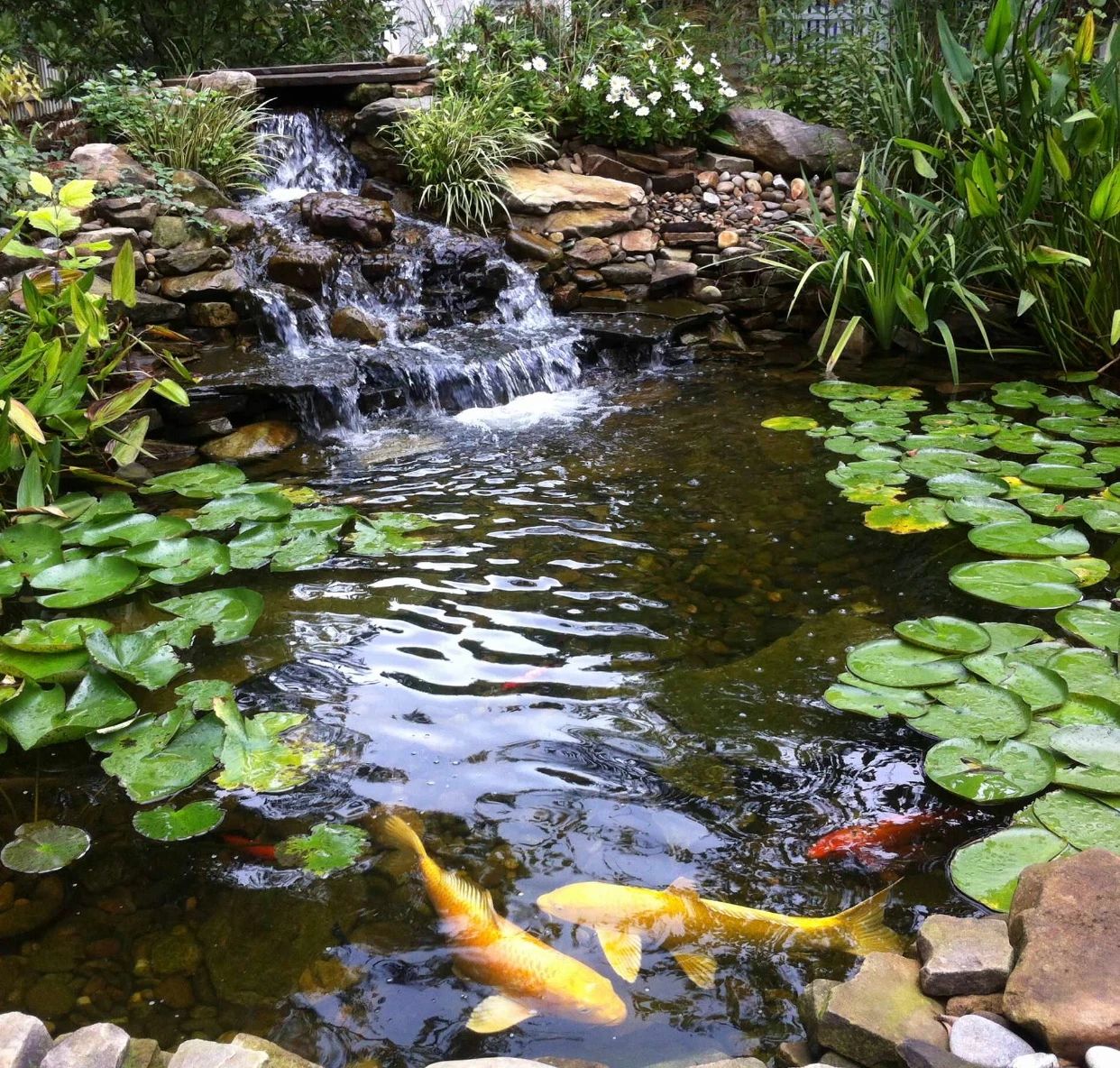 庭院水景作為氛圍感的象征，魚(yú)池必不可少！