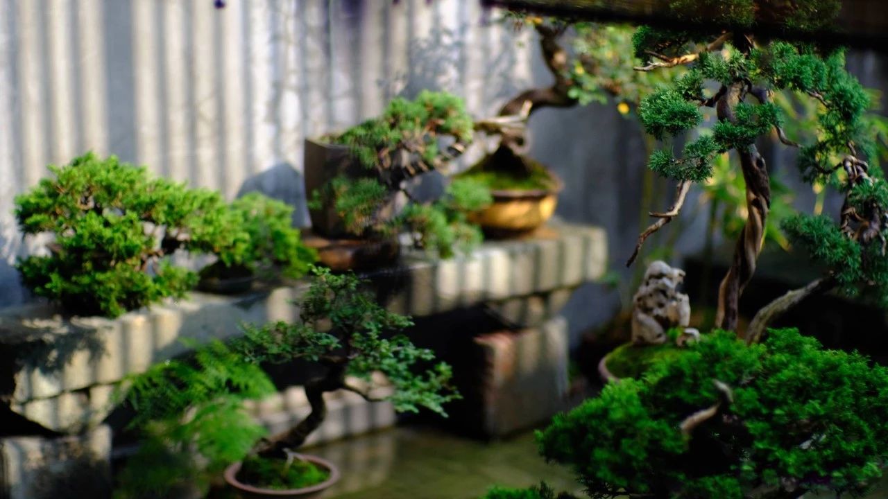 一個(gè)小院，收拾好了，便可安吾生之愿~